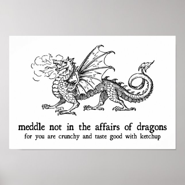Dragon Poster (Front)