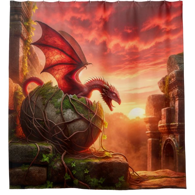 Dragon Shower Curtain (Front)