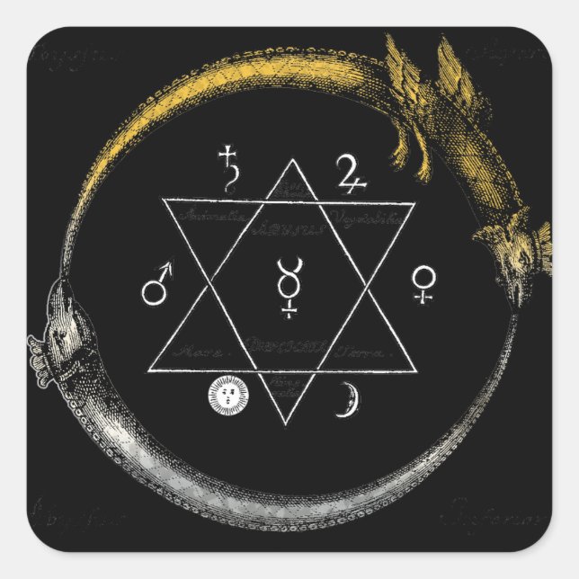 Dragon & Snake Ouroboros Square Sticker (Front)