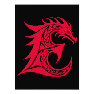 Dragon Styled Letter E, Dragon Alphabet, Monogram Photo Print