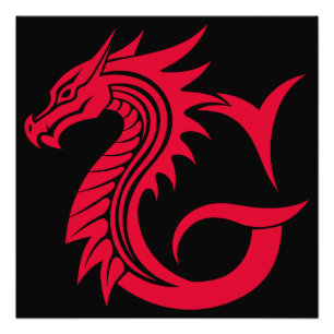 Dragon Styled Letter G, Dragon Alphabet, Monogram Photo Print