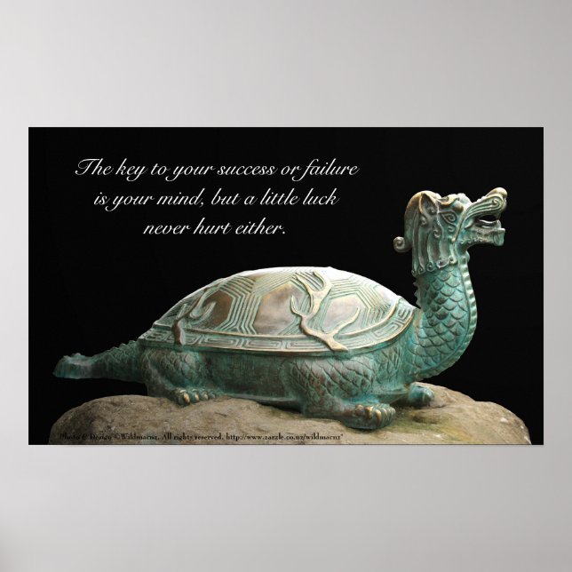 Dragon turtle success poster (Front)