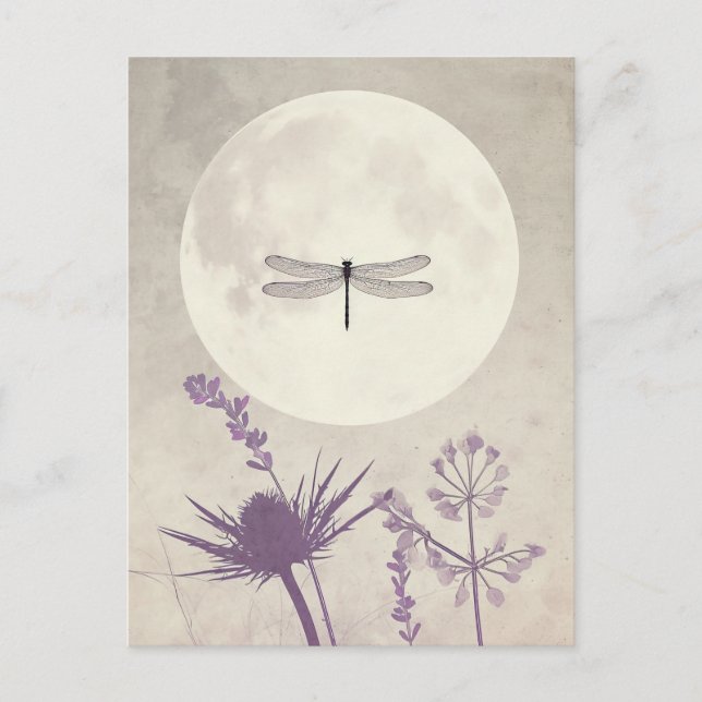Dragonflies and Nature Postcard (Front)