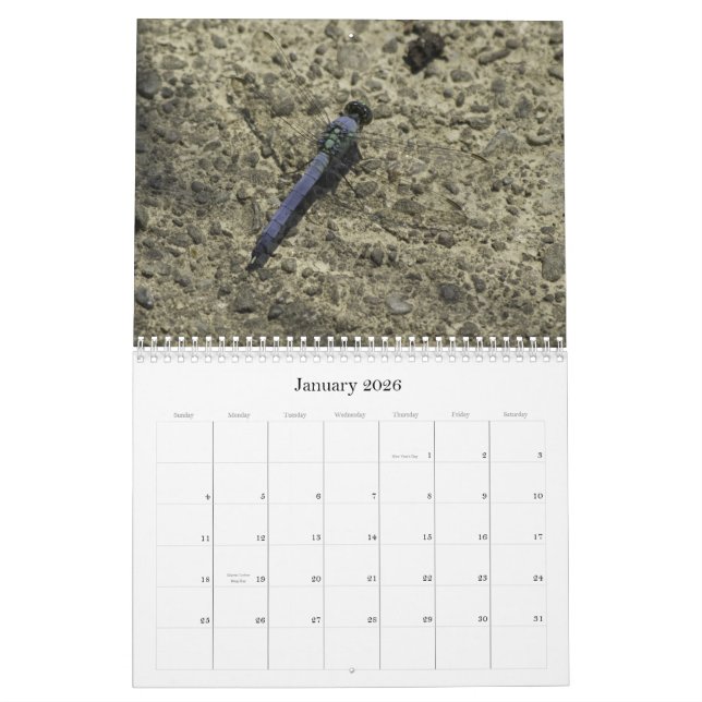 Dragonflies and water lilies calendar (Jan 2026)