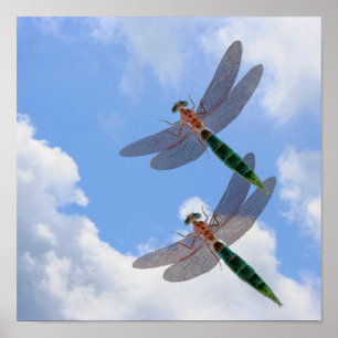 Dragonflies Blue Sky And White Clouds Poster