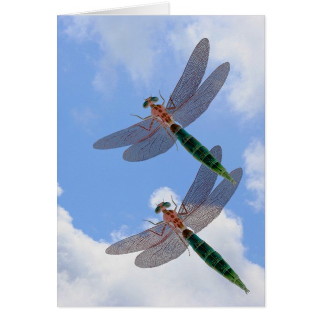 Dragonflies Blue Sky Clouds Nature Card (Front)