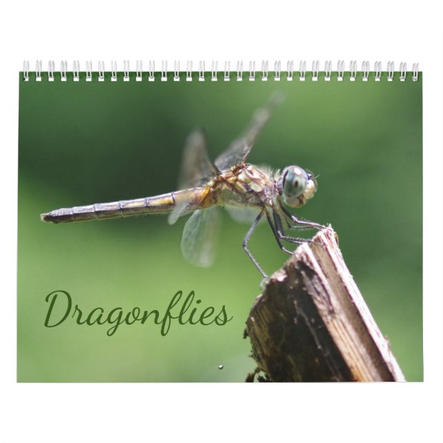 Dragonflies Calendar (Cover)