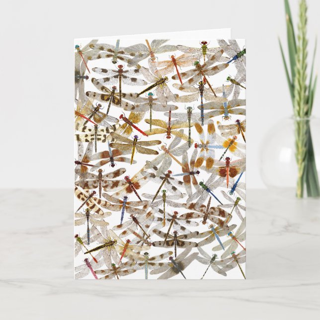 Dragonflies Galore! Greeting Card (Front)