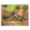 Dragonflies - Gems of the Air 2013 Calendar