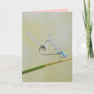 dragonflies in love card