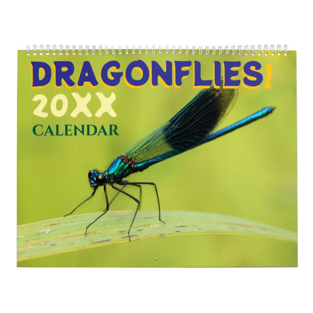 Dragonflies in Nature Wall Calendar Cute (Cover)