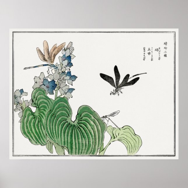 Dragonflies on a Water Hyacinth by Morimoto Toko, Poster (Front)