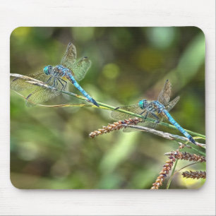 Dragonflies on Branch Mousepad