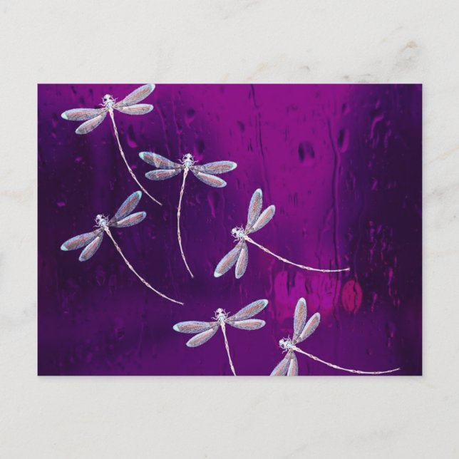 Dragonflies on water Everyday Postcard (Front)