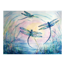 Dragonflies