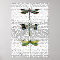 Dragonflies Print 3