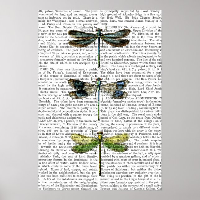 Dragonflies Print 3 (Front)