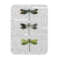 Dragonflies Print 3
