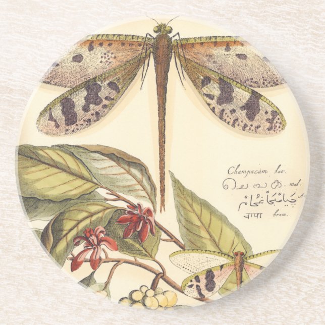Dragonflies with Leaves and Fruit Coaster (Front)
