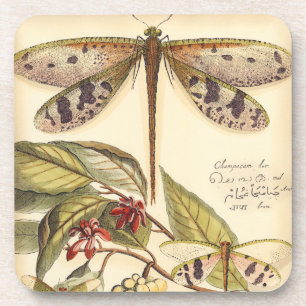 Dragonflies with Leaves and Fruit Coaster