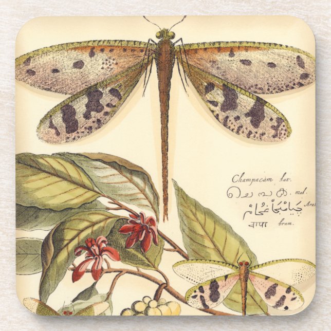 Dragonflies with Leaves and Fruit Coaster (Front)