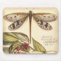 Dragonflies with Leaves and Fruit