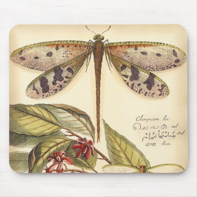 Dragonflies with Leaves and Fruit Mouse Pad (Front)