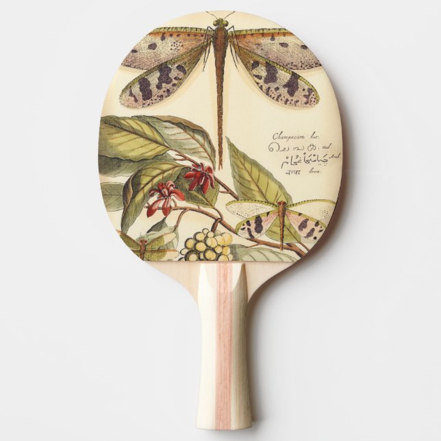 Dragonflies with Leaves and Fruit Ping Pong Paddle (Front)