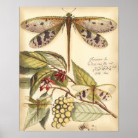 Dragonflies with Leaves and Fruit