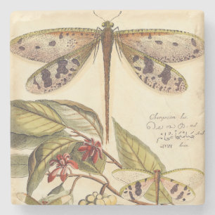 Dragonflies with Leaves and Fruit Stone Coaster