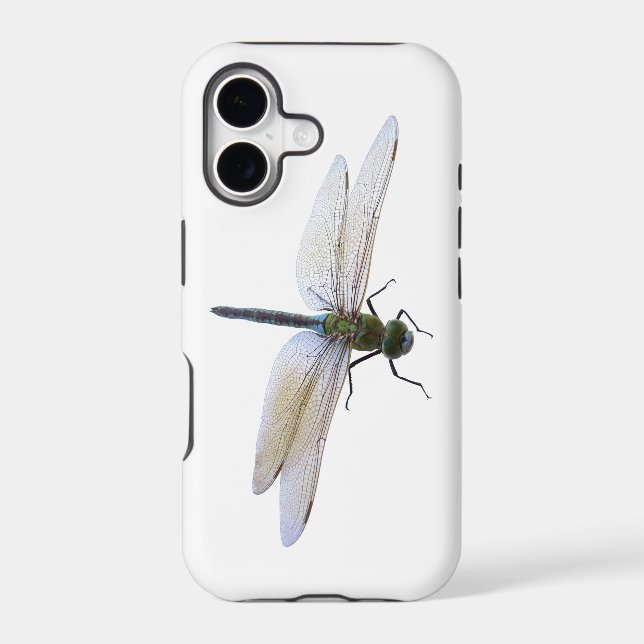 Dragonfly (Back)