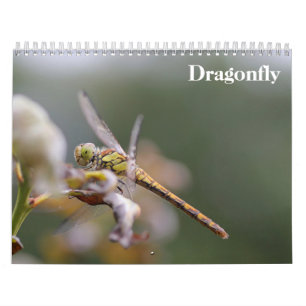Dragonfly 2026 calendar