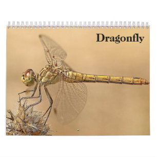 Dragonfly 2027 calendar