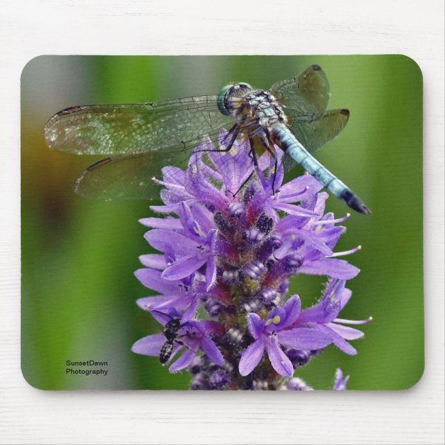 Dragonfly 2 mouse pad (Front)