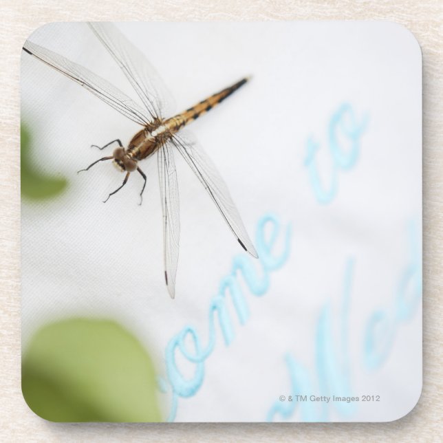 Dragonfly 4 coaster (Front)