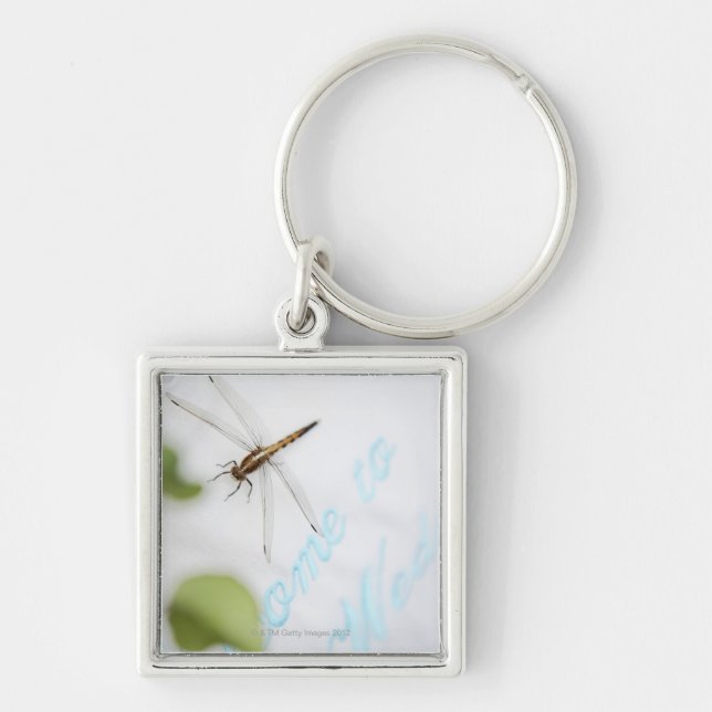 Dragonfly 4 key ring (Front)
