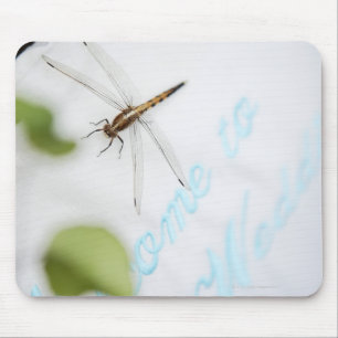 Dragonfly 4 mouse pad