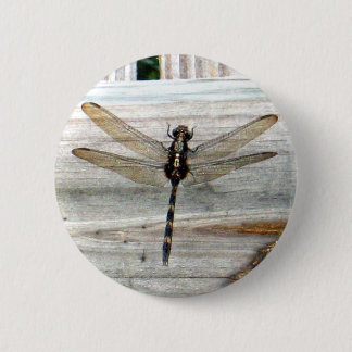 Dragonfly 6 Cm Round Badge
