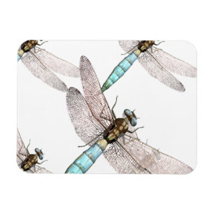 Dragonfly Air Force on White Magnet