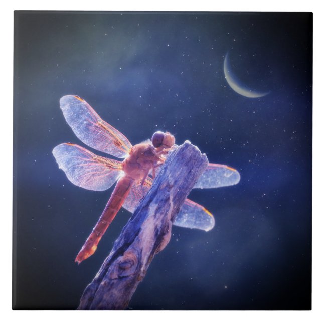 Dragonfly and Crescent Moon Mystical Ceramic Tile (Front)