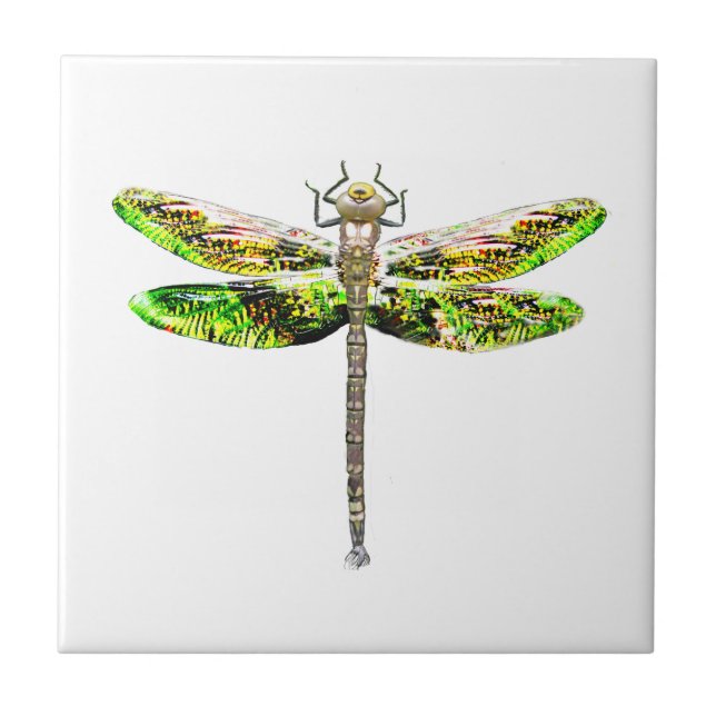 Dragonfly art and design gifts tile (Front)