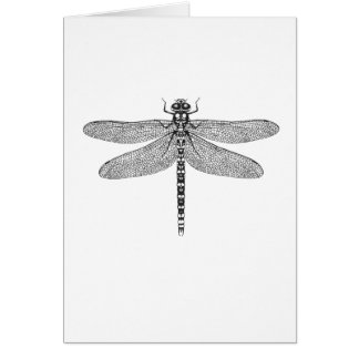 Dragonfly art greetings card - good luck!