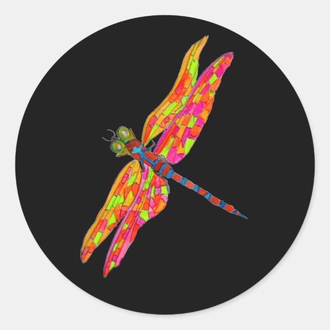 Dragonfly art insect illustration classic round sticker (Front)