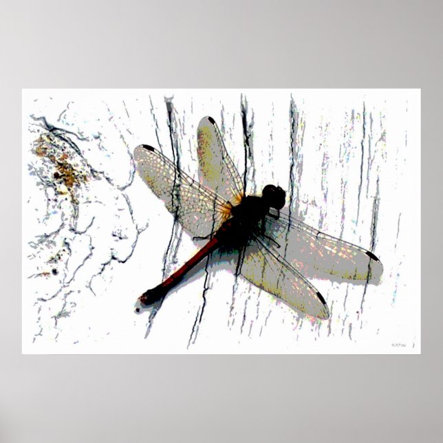 Dragonfly Art Photography Poster (Front)
