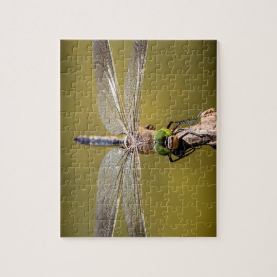 Dragonfly at rest jigsaw puzzle