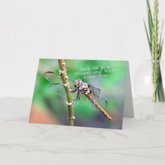 Dragonfly Birthday Card (7178) (Front)