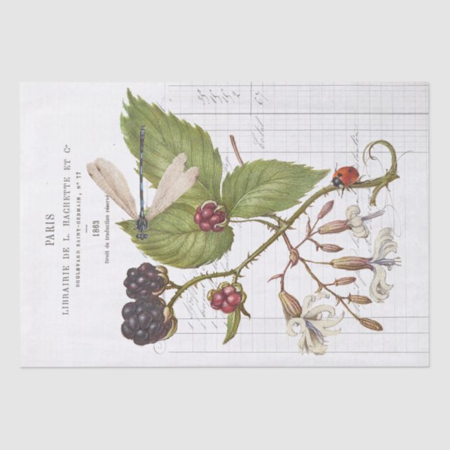 Dragonfly Blackberry Ladybug French Vintage Craft Tissue Paper (Front)