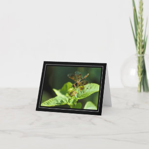 Dragonfly Blank Note Card