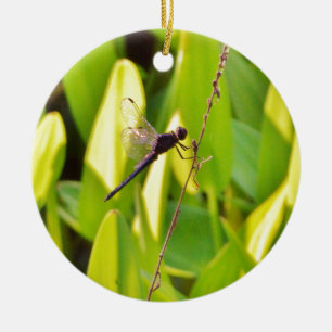 Dragonfly Blue and black on grass. Ceramic Ornament