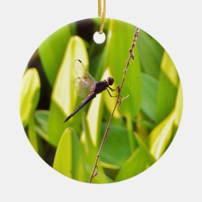 Dragonfly Blue and black on grass. Ceramic Ornament (Front)